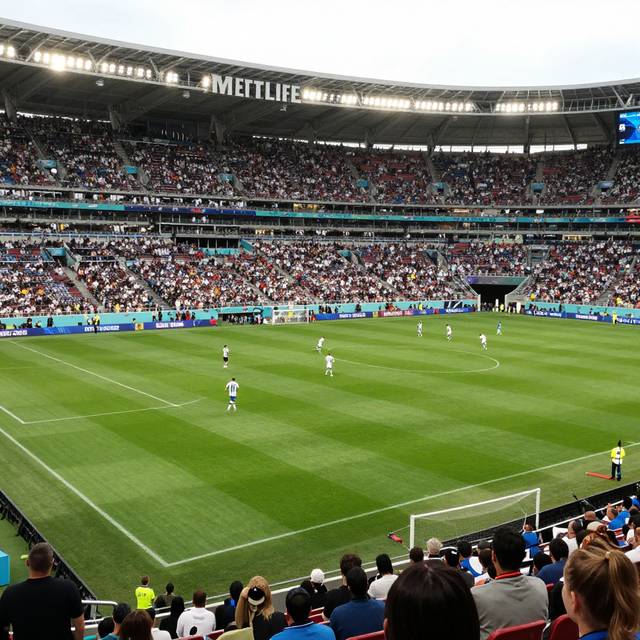 post_img_1784429019_6261